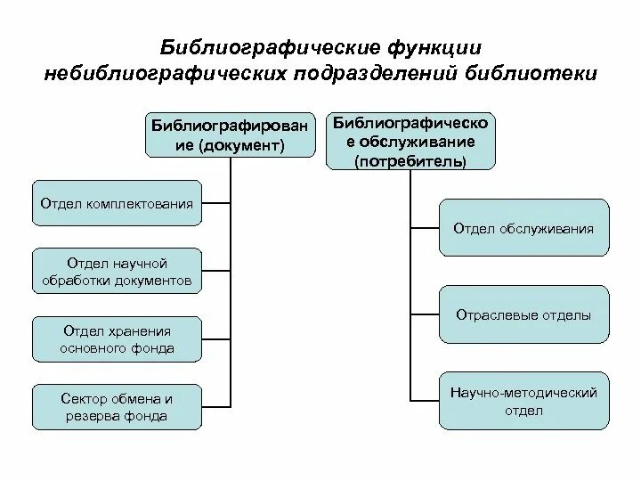 Библиографическая деятельность библиотеки. Основные функции библиографии. Информационная деятельность библиотеки. Библиографический отдел библиотеки. Информационная функция библиотеки.