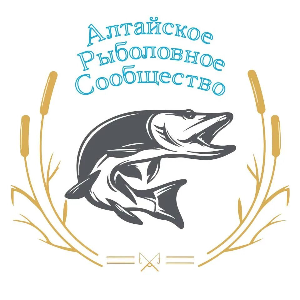 Сообщество рыбалке. Рыбалка на алтае. Рыболовное сообщество благовещенск рб. Рыбалка сообщество. Рыба реки свирь.