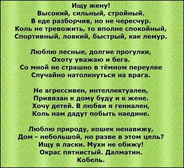 Я нравлюсь женщинам текст. Ищу жену. Ищу жену прикольные. Объявление ищу жену. Ищу жену прикольные объявления.