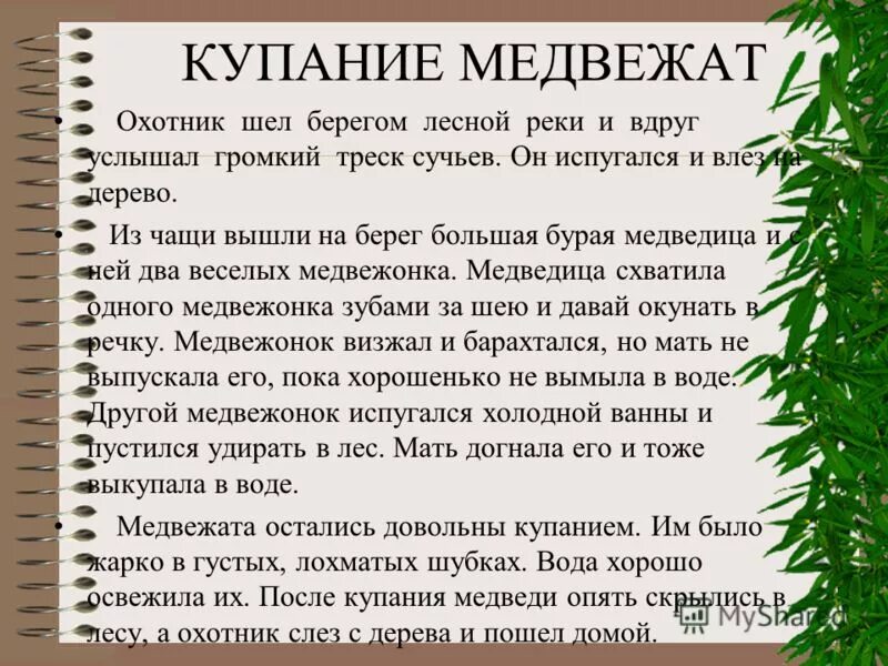 Рассказ купание медвежат. Рассказ бианки купание медвежат текст. рассказ бианки купание медвежат. купание медвежат. изложение купание медвежат.