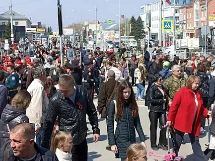 Погода бердск 2024
