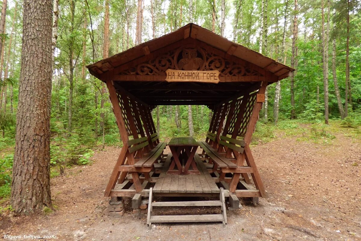 Беседки в орле. Орловское Полесье озеро. Дом лесника Орловское Полесье. Орловское Полесье беседки. Орловское Полесье домики.