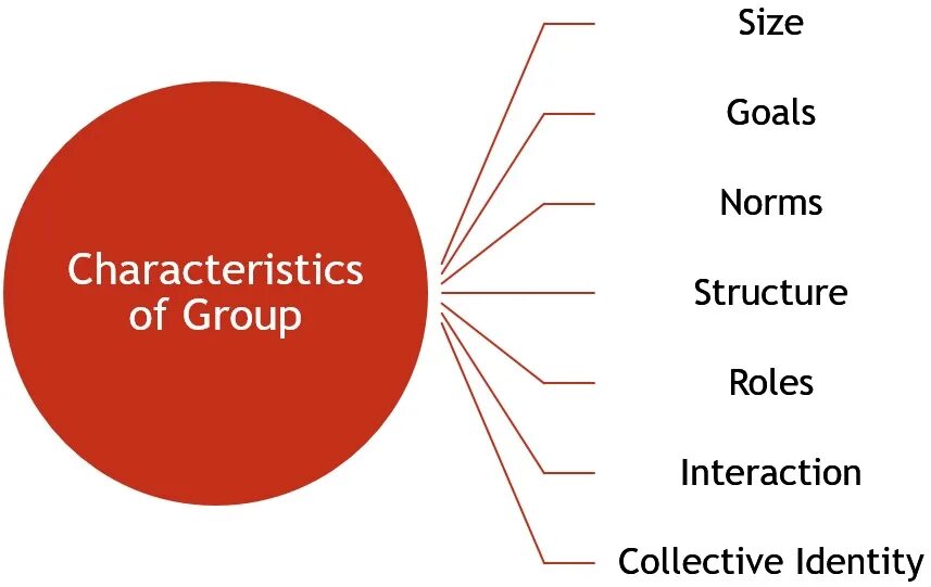 &Team группа. Social roles and social Norms. Types of meaning. Characteristics. Group definition