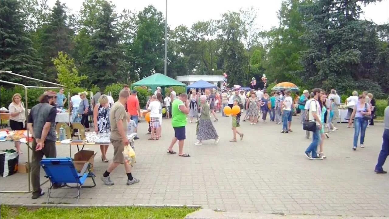 Погода вязьме по часам. Вязьма день города 2021. День города Вязьма. Губернатор Вязьма день города 2023. Мастерская праздника Вязьма.