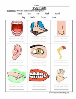 Parts of body text