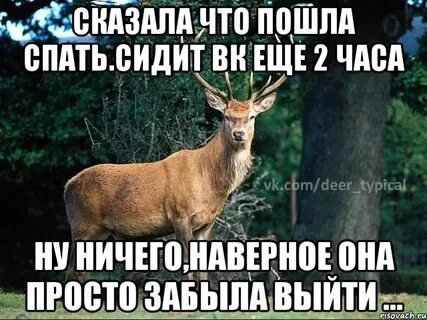 Ничего просто спала