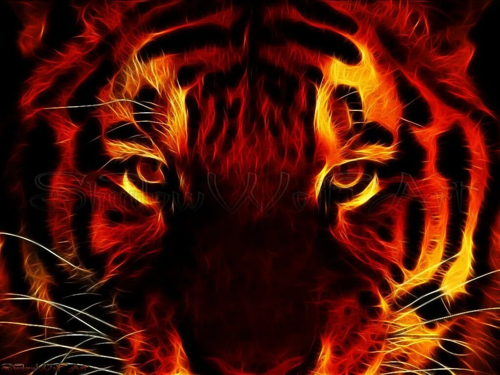 Красный тиг. Огненный тигр. Красный тигр. Красный Огненный тигр. Тигр в огне.