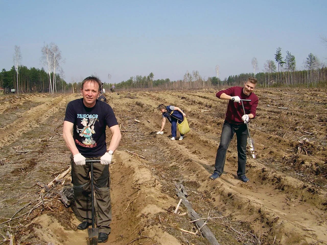 Лоевский лесхоз. Минское плхо. Стародорожский нотариус. Лоевский край. Лоевский край.
