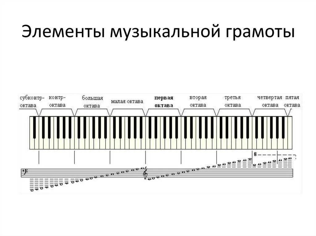 Нотная грамота с нуля фортепиано. Нотная грамота для начинающих на синтезаторе. Нотная грамота для начинающих фортепиано с нуля. Нотиная граматадля пианинл.