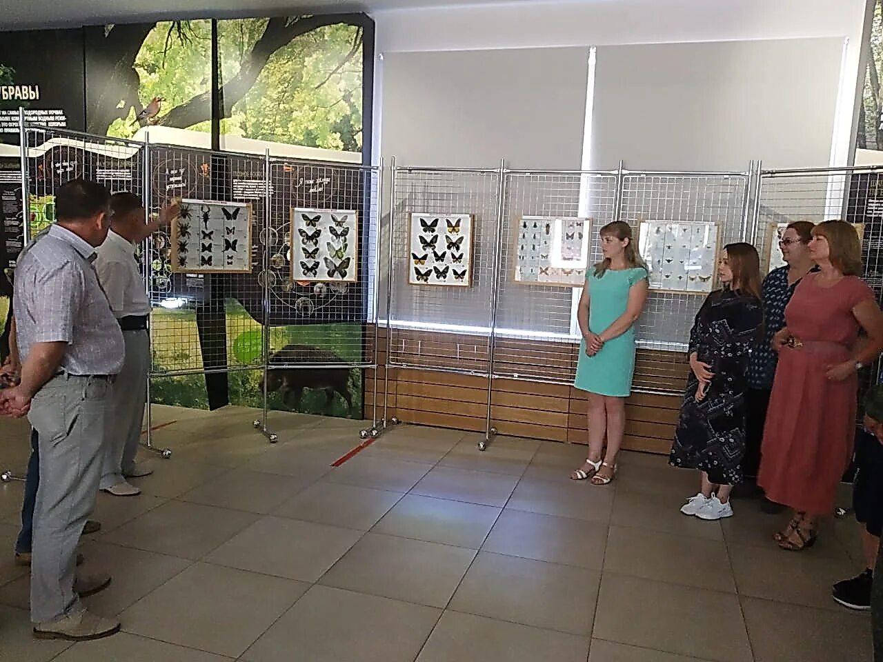 Выставка насекомых. Выставка насекомых в воронеже. Новороссийск насекомые выставка 2024. Выставка насекомых в чебоксарах. Зоологический музей насекомые.