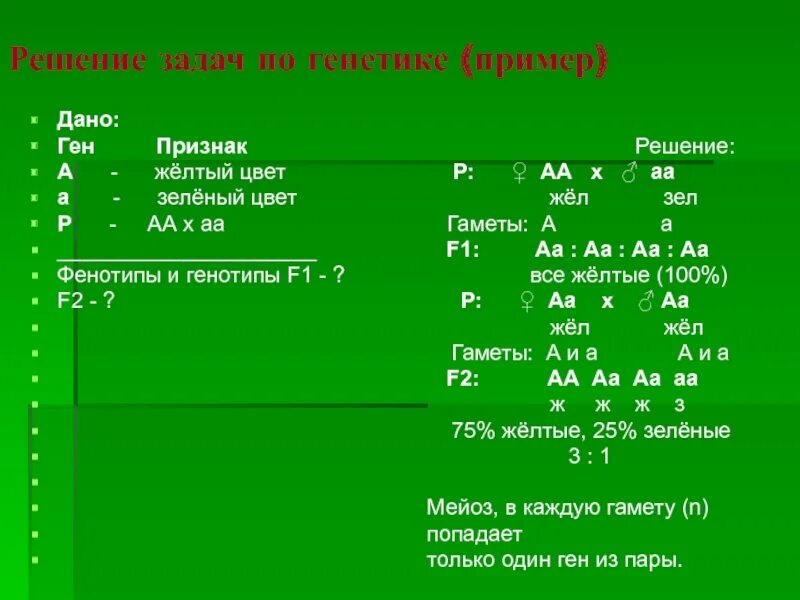 Задачи по генетике с решением 10. Решение задач на генетику. Решение задач по биологии по генетике. Задачи на генетику правильное оформление. Решение генетических задач по биологии.