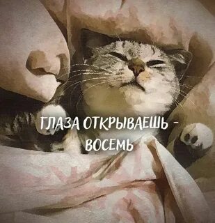 Открой 8 год