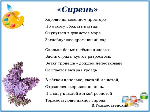 Сирень составить слова. Стихотворение про сирень. Стихи про сирень. Слово сирень. Сирень текст.