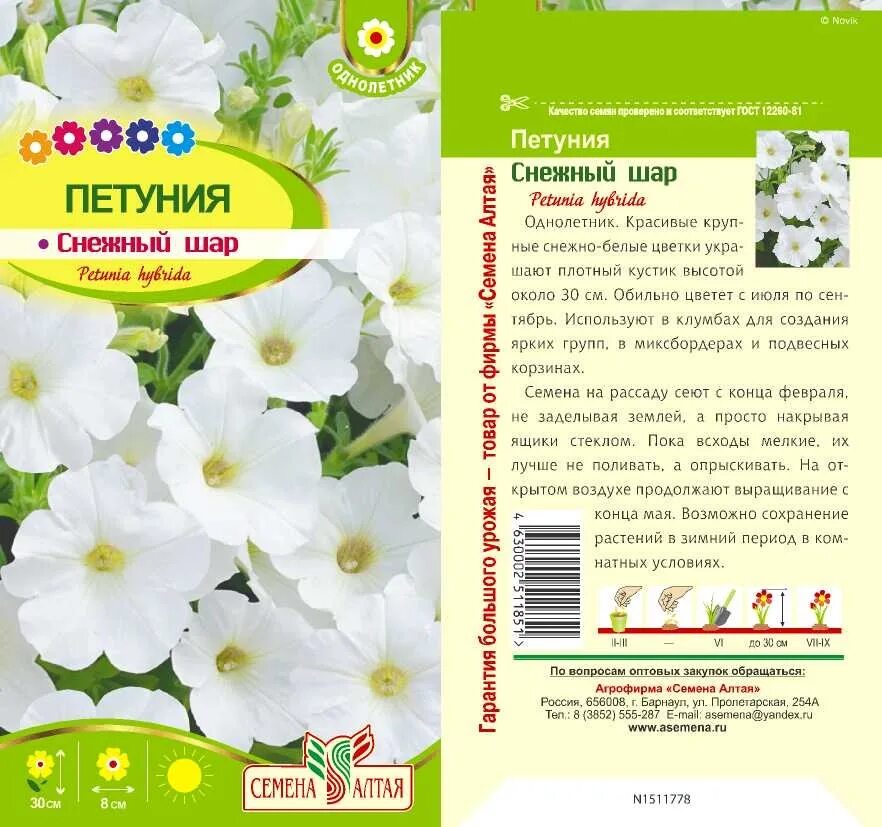 Шары петуньи. Петуния снежный шар семена алтая. Петуния снежный шар многоцветковая. Петуния limbo gp white. Петуния многоцветковая сноуболл.