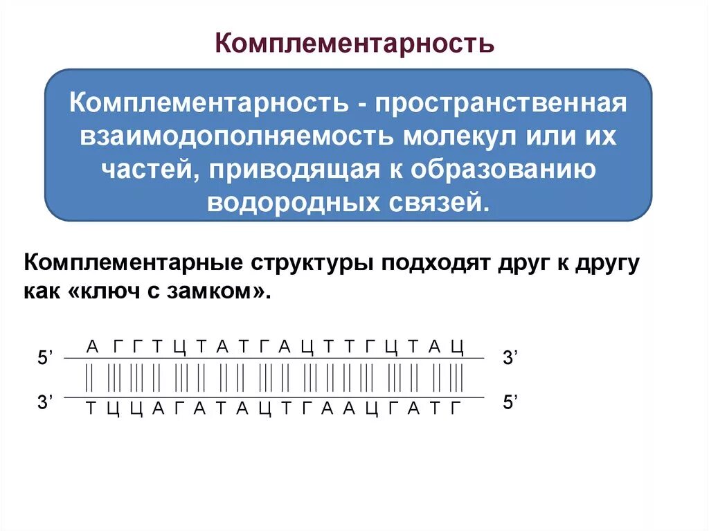 Известно что комплиментарные. Комплементарность. Понятие комплементарности. Комплементарный это. Комплементарность (биология).