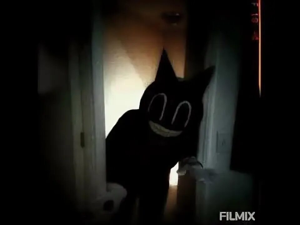 DID YOU THINK I WAS DONE WITH THE BATS - GIF on Imgur