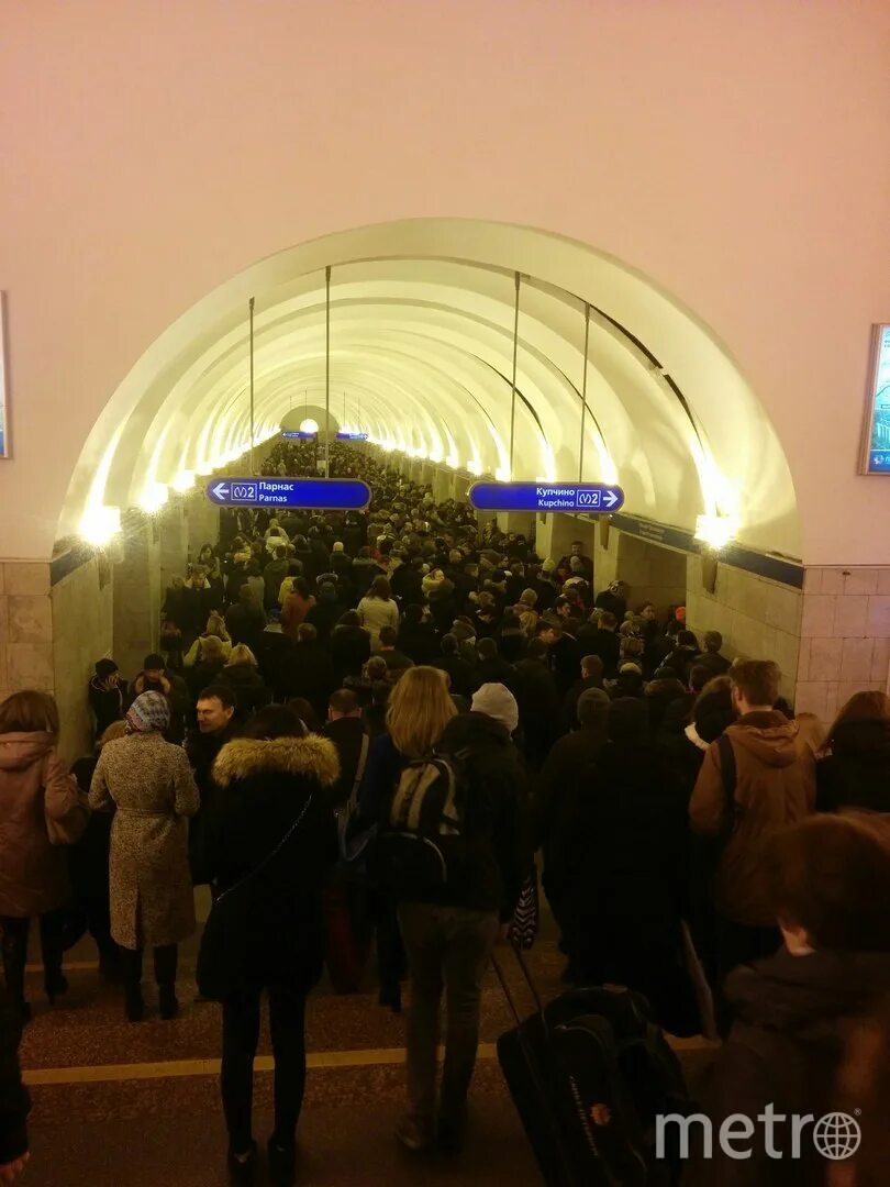 Давка в метро спб сегодня. Петербургский метрополитен синяя ветка. питер метро переполнено. метро озерки питер синяя ветка. учебные заведения на синей ветке метро питера.