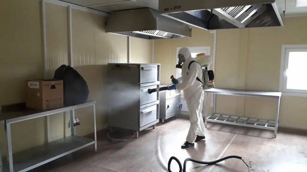 дератизация пищевых предприятий. дезинфекция складских помещений. дезинфекция дератизация. дератизация пищевых предприятий. дезинсекция помещений.