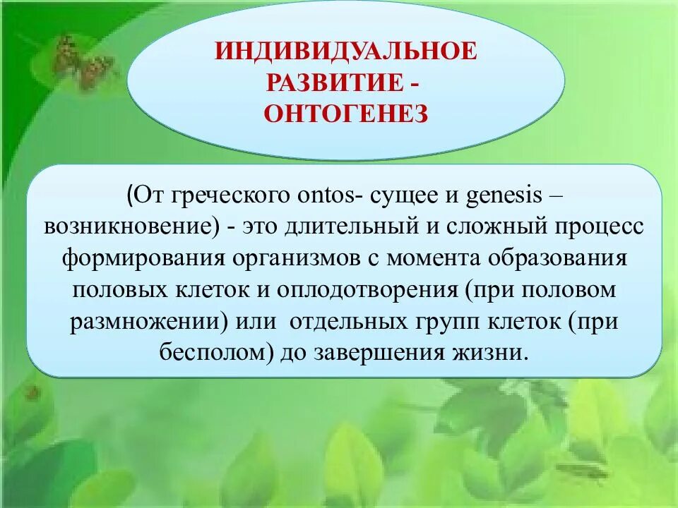 Работа по онтогенезу 10 класс. Индивидуальное развитие организма. Индивидуальное развитие организма онтогенез. Индивидупльноеразвитие это. Индивидуальное развитие организма онтогенез презентация.