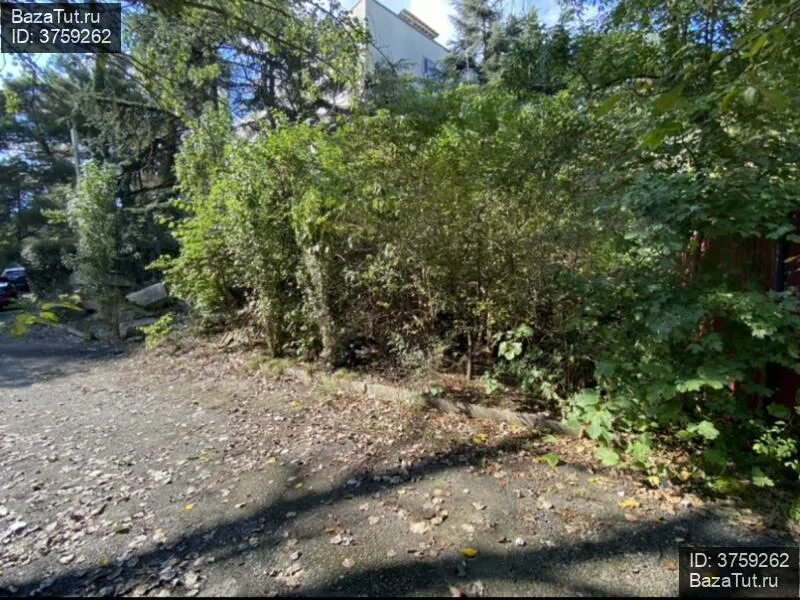 Продам участок ялта. Продам участок ялта. Ялта земля. Участок под ижс в ялте. Продам участок ялта.