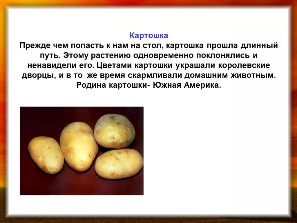 Подбери к слову картофель. Факты о картошке. Интересные факты о картофеле. Оттенки картофеля. Интересные факты о картошке.
