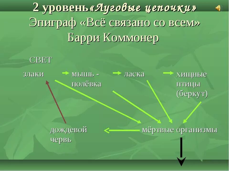 5 цепей питания луга. Экосистема Луга. Пищевая сеть экосистемы Луга. Цепь питания Луга. Экосистема Луга схема.