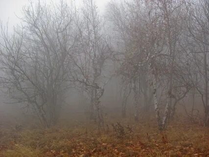 Осенью поздней земля засыпает