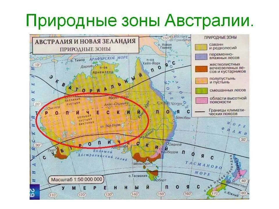 Природные зоны австралии