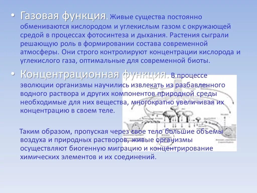 Углекислый газ функции в биосфере. Роль углекислого газа в организме. Газовая функция биосферы. Функции углекислого газа. Газовая функция живого существа.