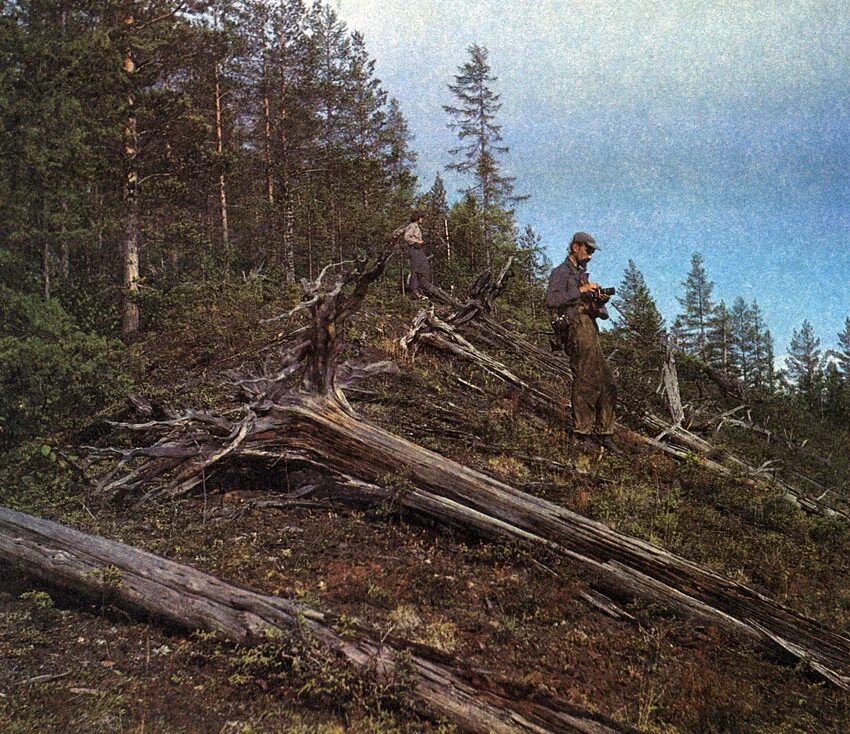 тунгусский метеорит, 30 июня 1908 г. синтаксический анализ текста 30 июня 1908 года около 7 часов. 30 июня 1908. тунгусский метеорит 1907. место падения тунгусского метеорита архивные фото.