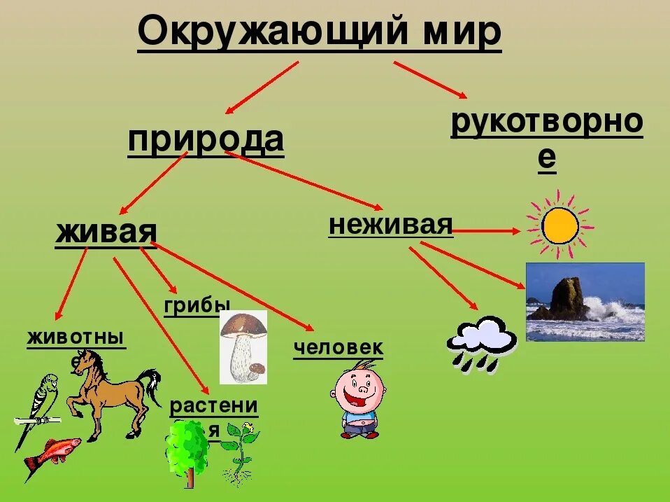 Примеры объектов созданные человеком. Живая и неживая природа. Живая и не мивая природа. Окружающий мир. Живая неживая природа рукотворный мир.