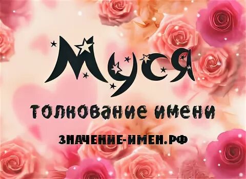 рассказ про кошку 2 класс. рассказ про кошку мусю. стих про кошку. что означает имя муся. кошачья кличка муся.