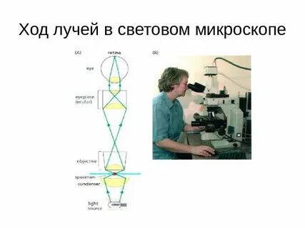 Линзы микроскопа физика