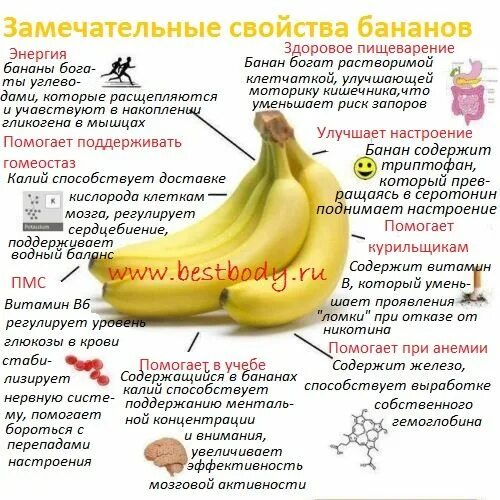 Что содержится в бананах какие витамины. Что содержится в банане чем полезен. полезные свойства банана. характеристика банана. полезные свойства бананов.