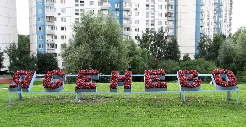 День ясенево