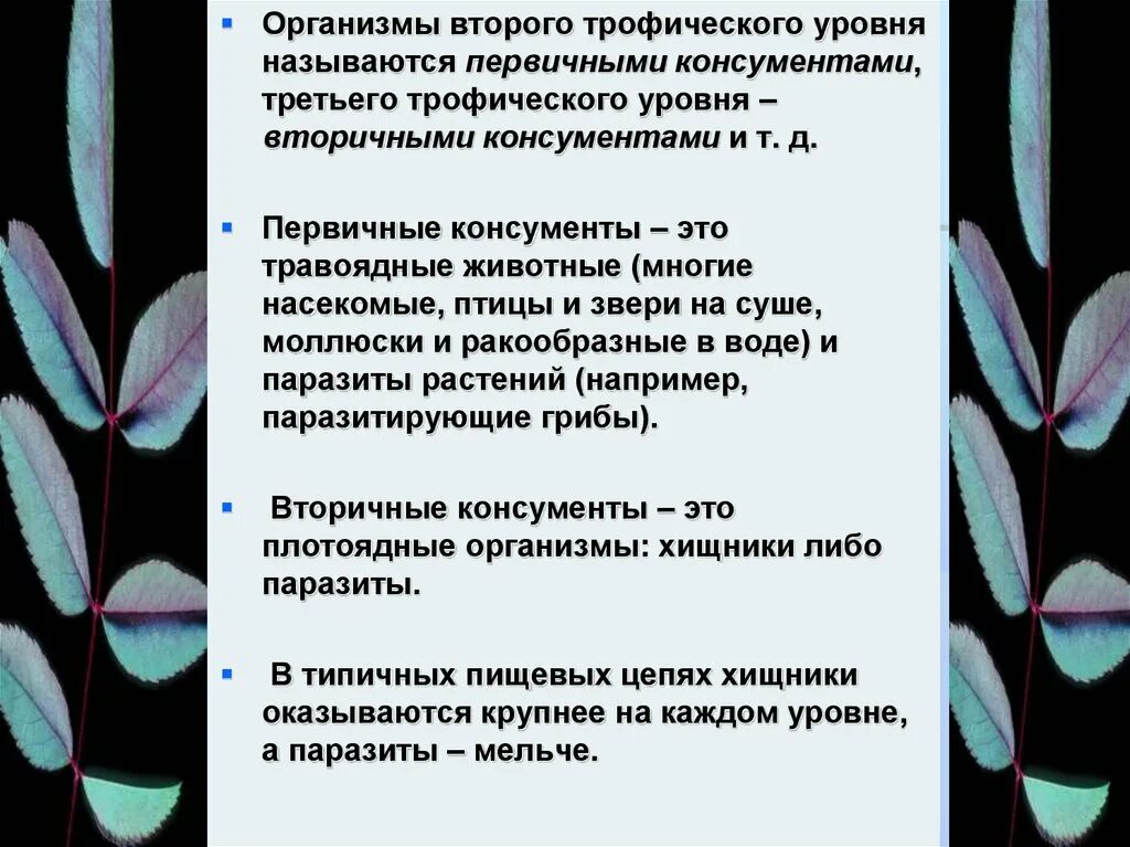 Организмы второго трофического уровня. Первичные организмы. Название 2 трофического уровня. Первичные организмы были.