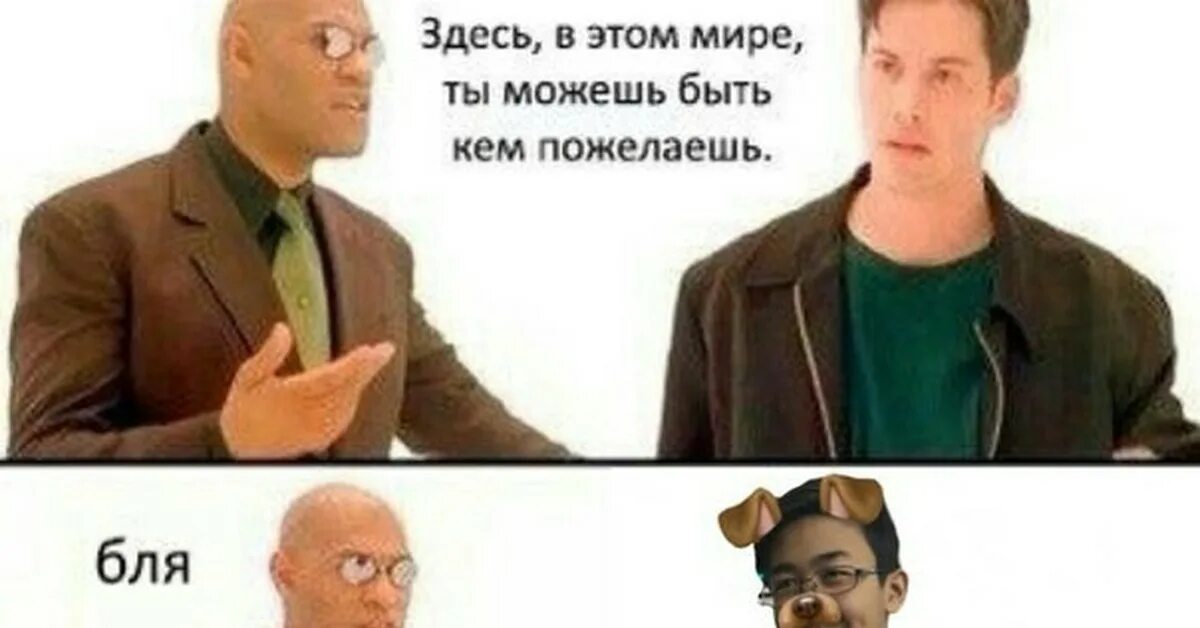 Тема буд