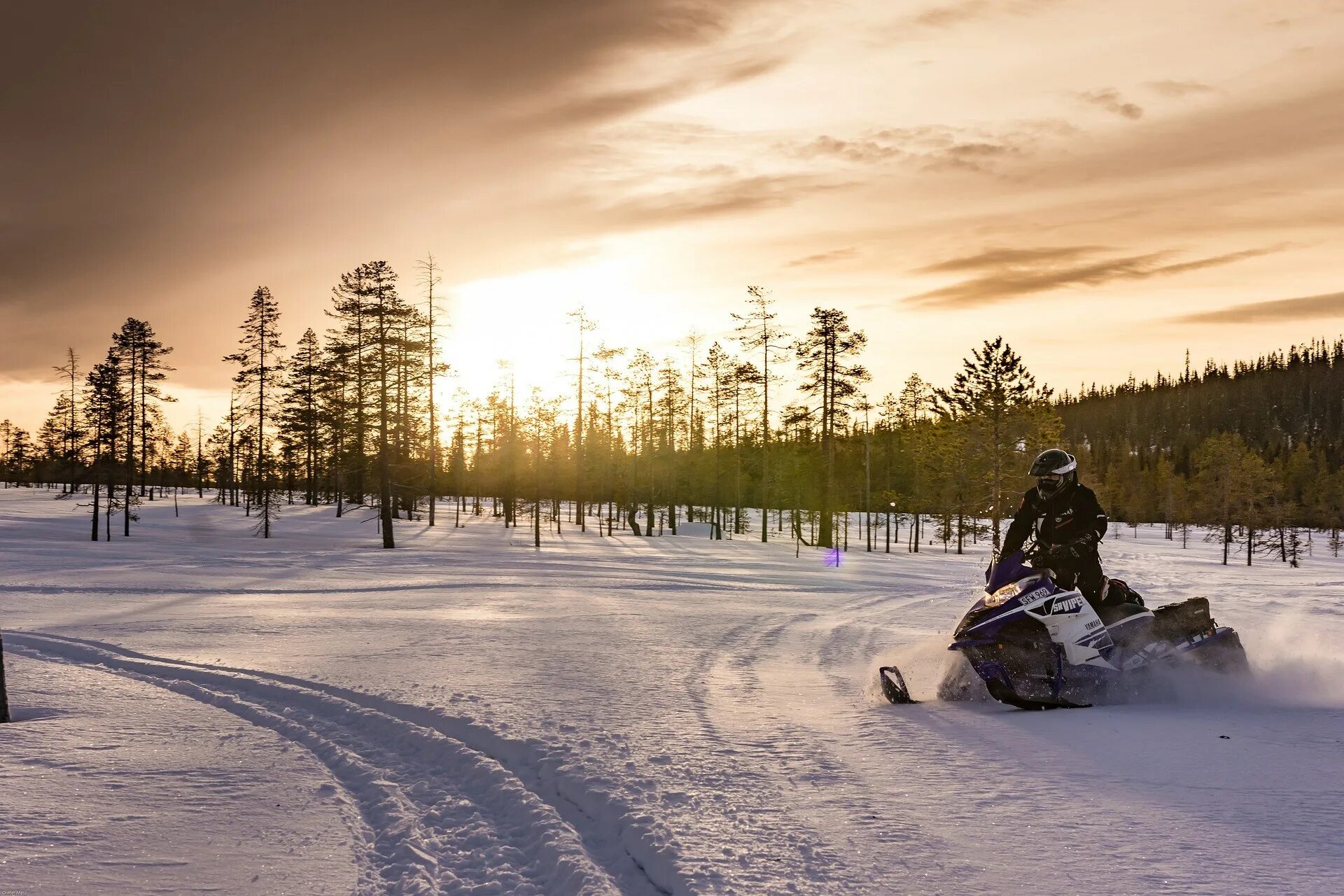 Snowmobile ru снегоходный. Зимняя Карелия аэросани. Сафари на снегоходах. Сафари на снегоходах в Карелии. Снегоход в лесу.