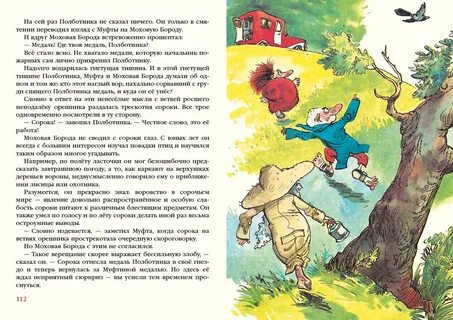 Муфта полботинка и моховая борода эно рауд