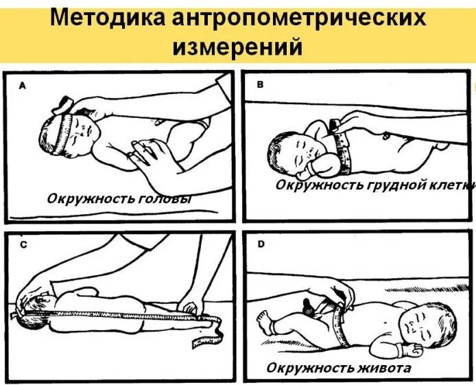 Алгоритм измерения окружности головы. Антропометрические измерения новорожденного алгоритм. алгоритм измерения окружности головы ребенка грудного возраста. измерение роста новорожденного алгоритм. техника проведения антропометрии новорожденного.