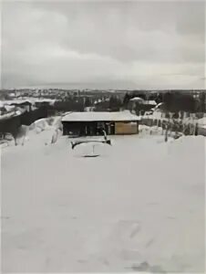 Парк яхрома отзывы