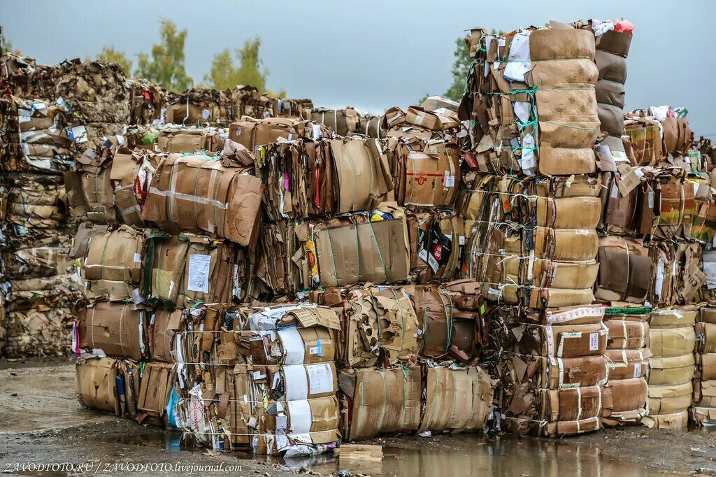 склад макулатуры. картон вторсырье. утилизация бумажных отходов. склад макулатуры. вторичное сырье.