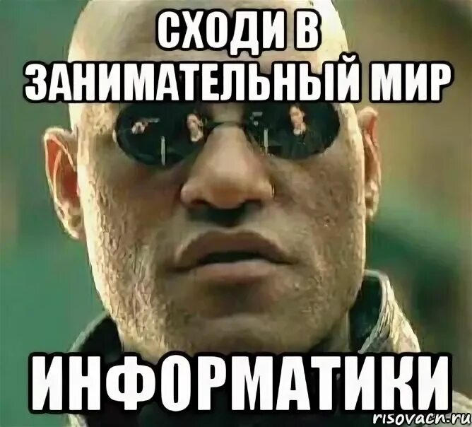 Мемы про информатиков. Мемы информатика. мемы про информатику. мемы по информатике. егэ информатика мем.