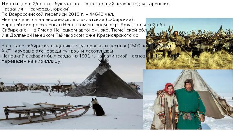 Натуральный налог в сибири назывался. Налог с народов сибири. Натуральный налог в сибири назывался. Ясак налог. Натуральный налог в сибири назывался.