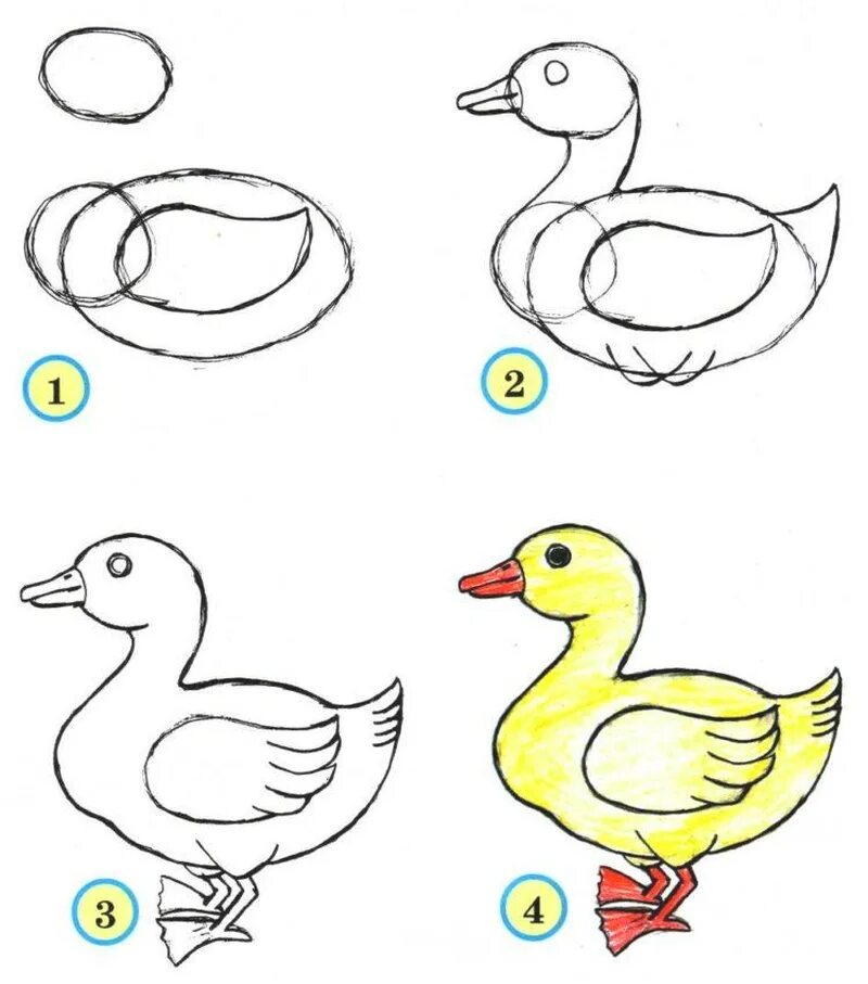Поэтапные рисунки для детей. Поэтапное рисование птиц для детей. Рисунок утки для детей. Пошаговое рисование уточки. Поэтапное рисование детском саду