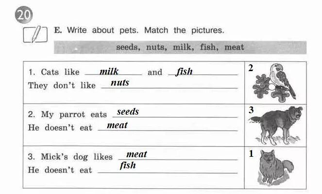 They like meat. Задания my Pet задания. About my Pet 3 класс. Вопросы my Pet по английскому. Петс упражнения для 2 класса.