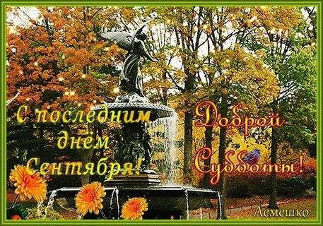 Последняя суббота ноября картинки красивые