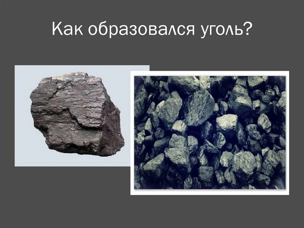 Каменный уголь образовался из. Как образуется уголь. Как появился уголь. Происхождение угля в природе. Каменный уголь осадочная