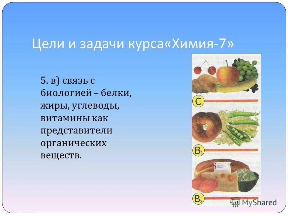 углеводы и белки биология 10 класс