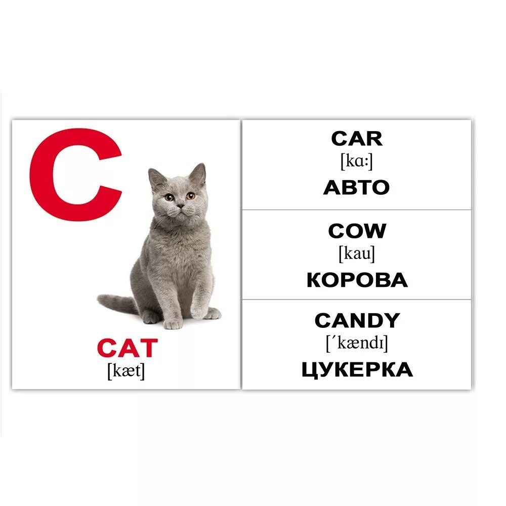 Карточки с английскими словами Cat. Карточки на английском. Кот карточка по английскому. Кот по английски. Как переводится кошки